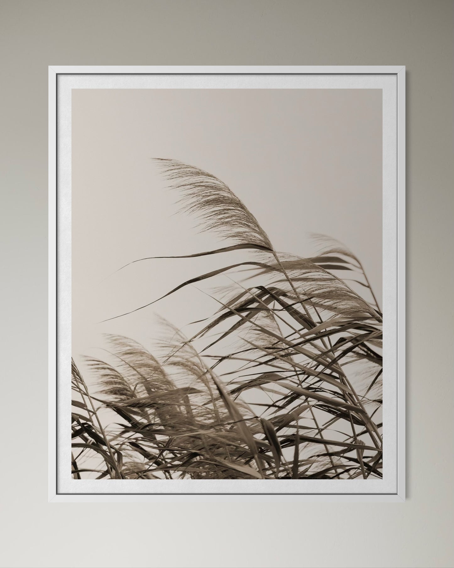 OF THE WIND