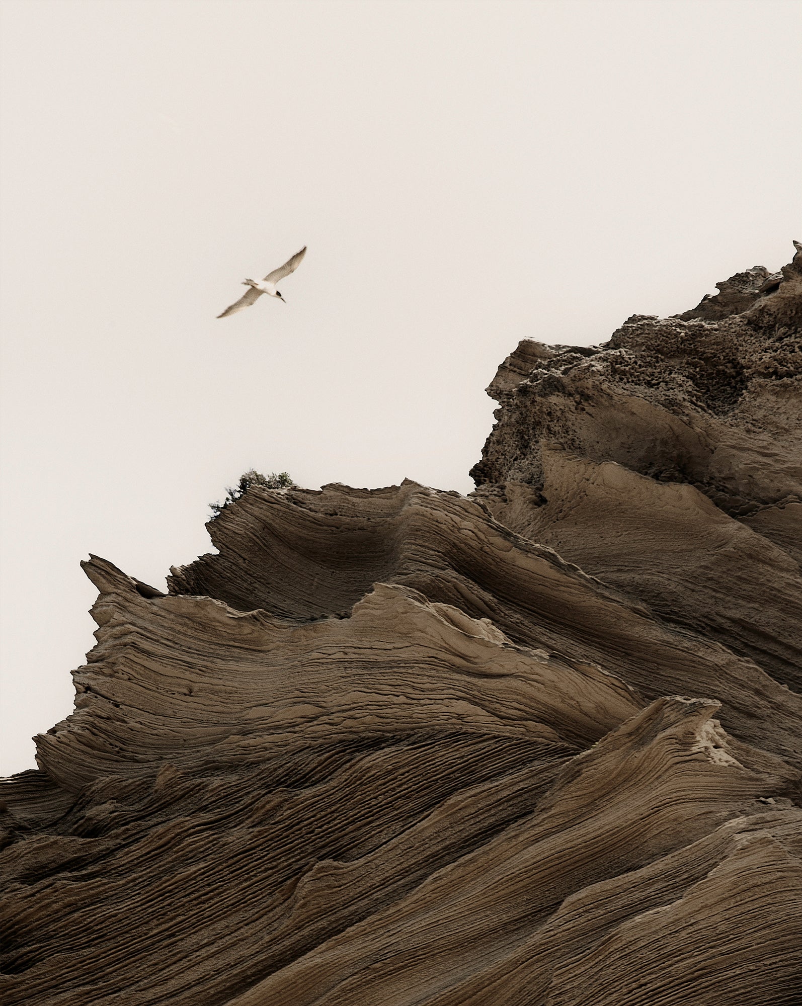 ECHOES OF STILLNESS