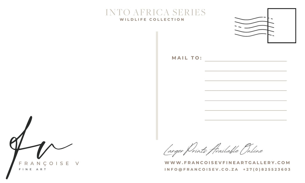 African Oasis Postcard