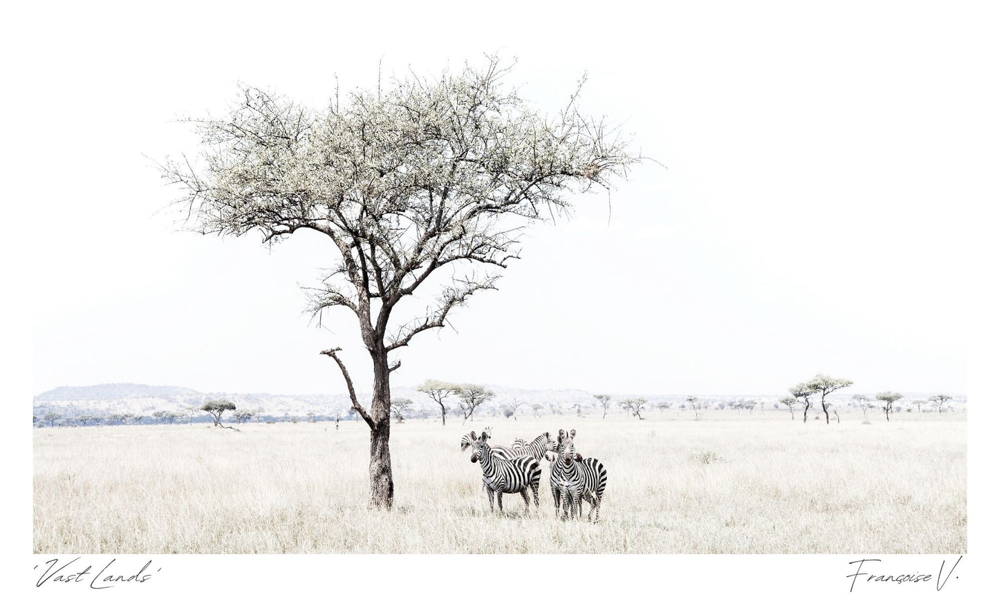 Vastlands Postcard