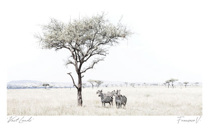 Vastlands Postcard