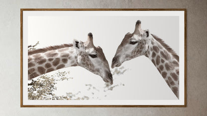 Natural Wood Kiaat framed artwork of a portrait of two giraffes by Francoise V Fine Art Gallery in Cape Town, South Africa