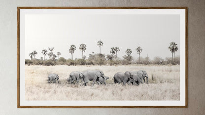 Natural Wood Kiaat framed artwork of a portrait of a herd of elephants walking through grasslands by Francoise V Fine Art Gallery in Cape Town, South Africa