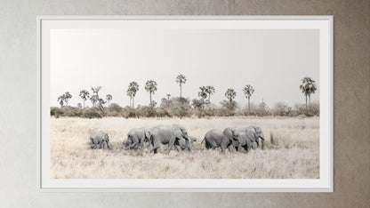 White box-framed artwork print of a portrait of a herd of elephants walking through grasslands by Francoise V Fine Art Gallery in Cape Town, South Africa