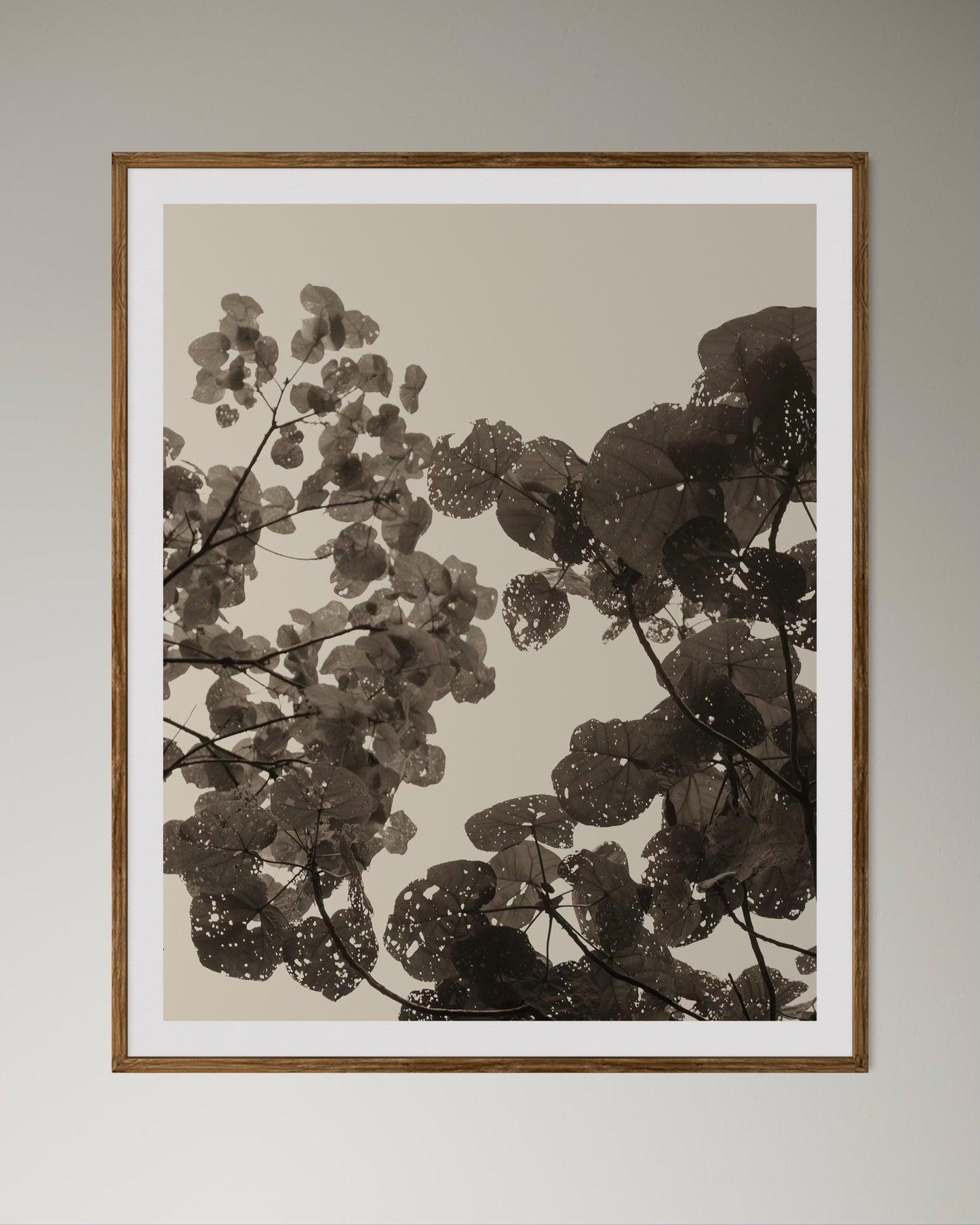 Natural wooden framed botanical print of leaves on a neutral background by Francoise V Fine Art Gallery in Cape Town, South Africa.