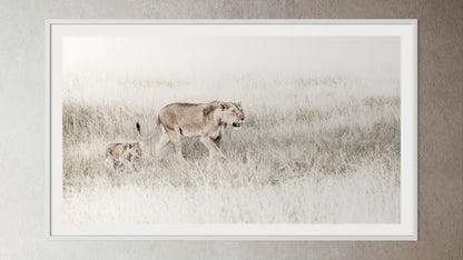 White box-framed artwork print of a portrait of a lioness and her cub by Francoise V Fine Art Gallery in Cape Town, South Africa