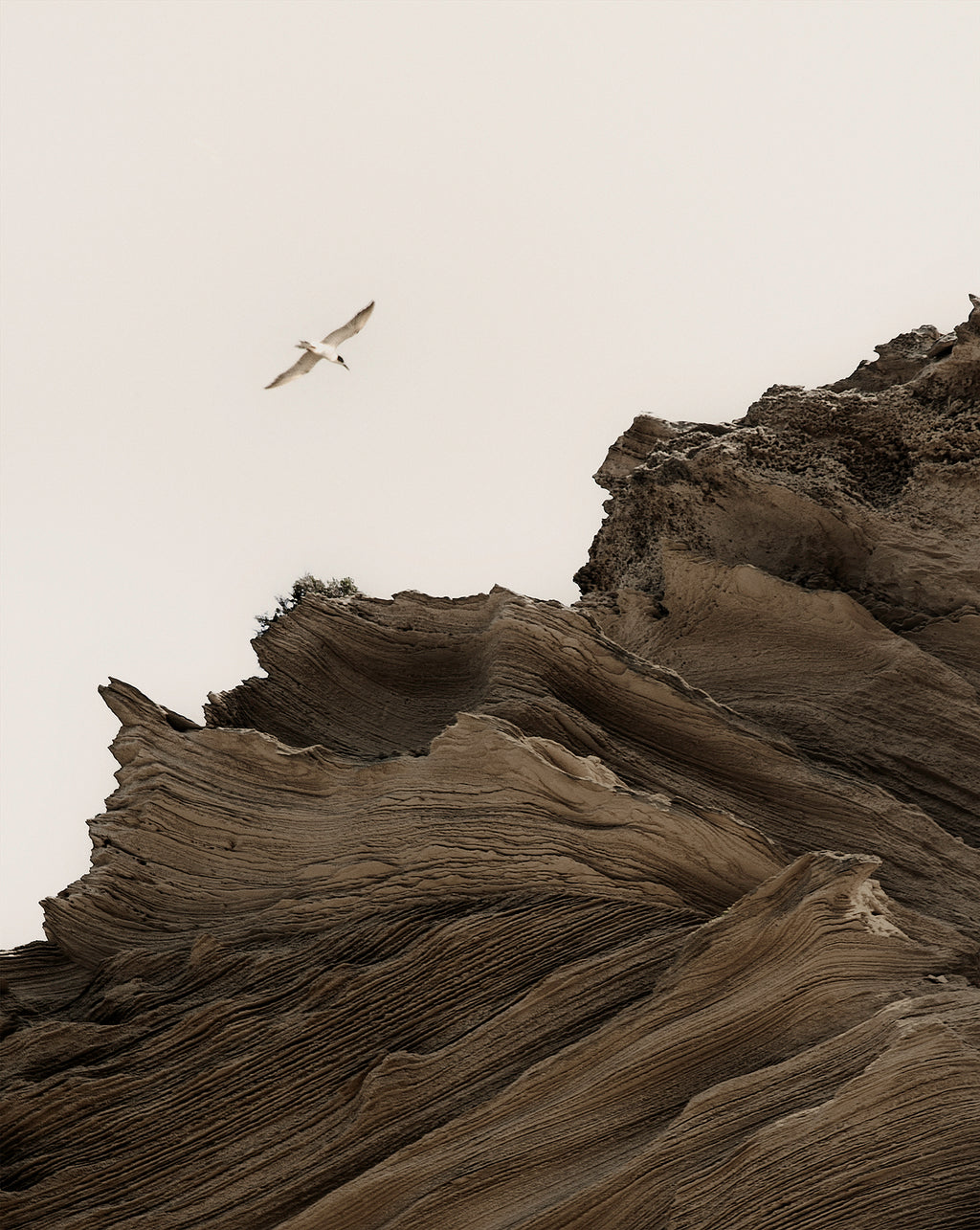 OF EARTH & SKY