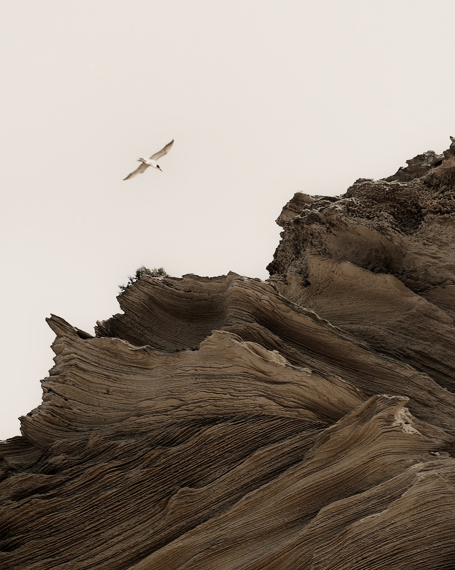 OF EARTH & SKY