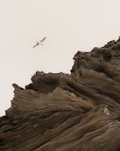 OF EARTH & SKY