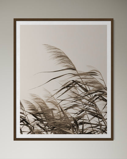 OF THE WIND