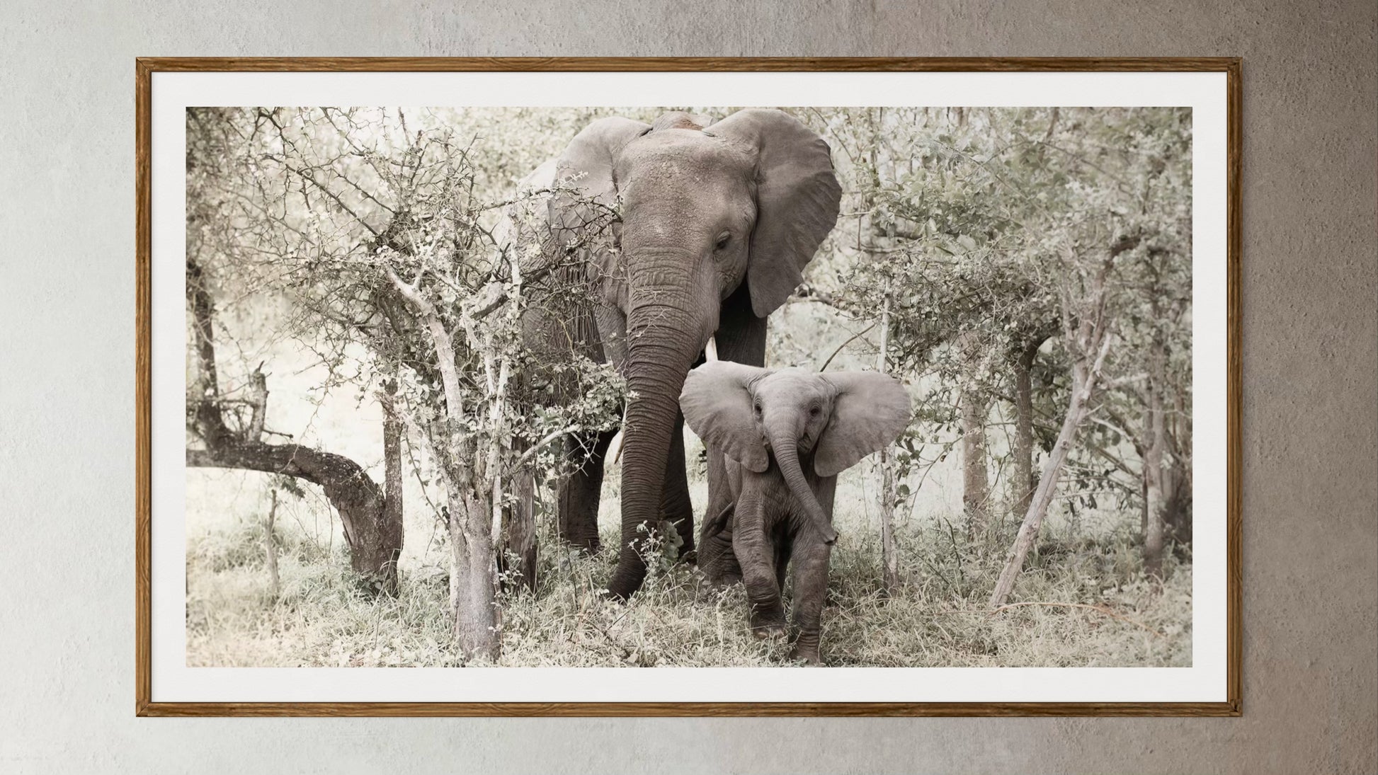 Natural Wood Kiaat framed artwork of a portrait of an elephant and her calf by Francoise V Fine Art Gallery in Cape Town, South Africa