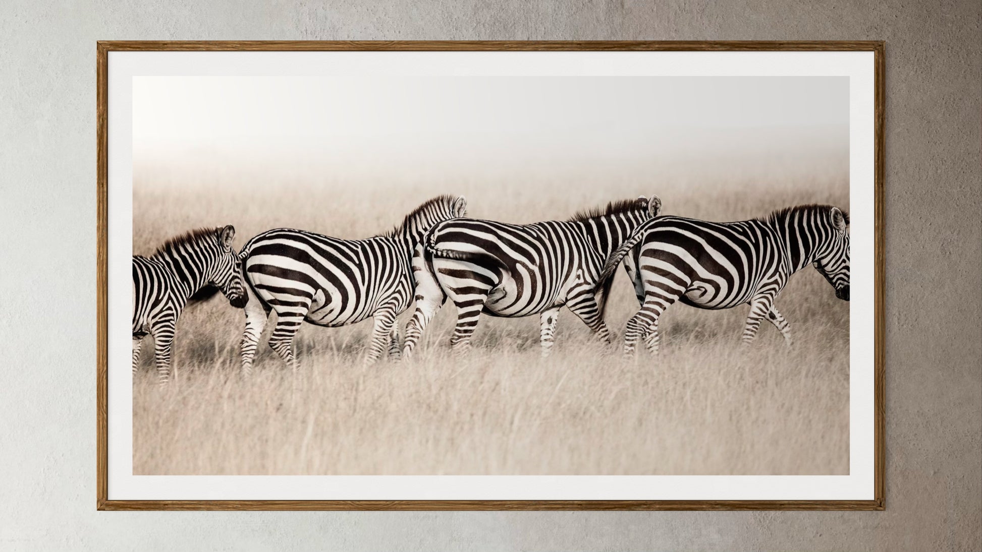 Natural Wood Kiaat framed artwork of a portrait of 4 zebras in a line by Francoise V Fine Art Gallery in Cape Town, South Africa