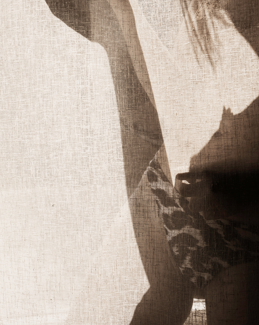 VEILED LIGHT