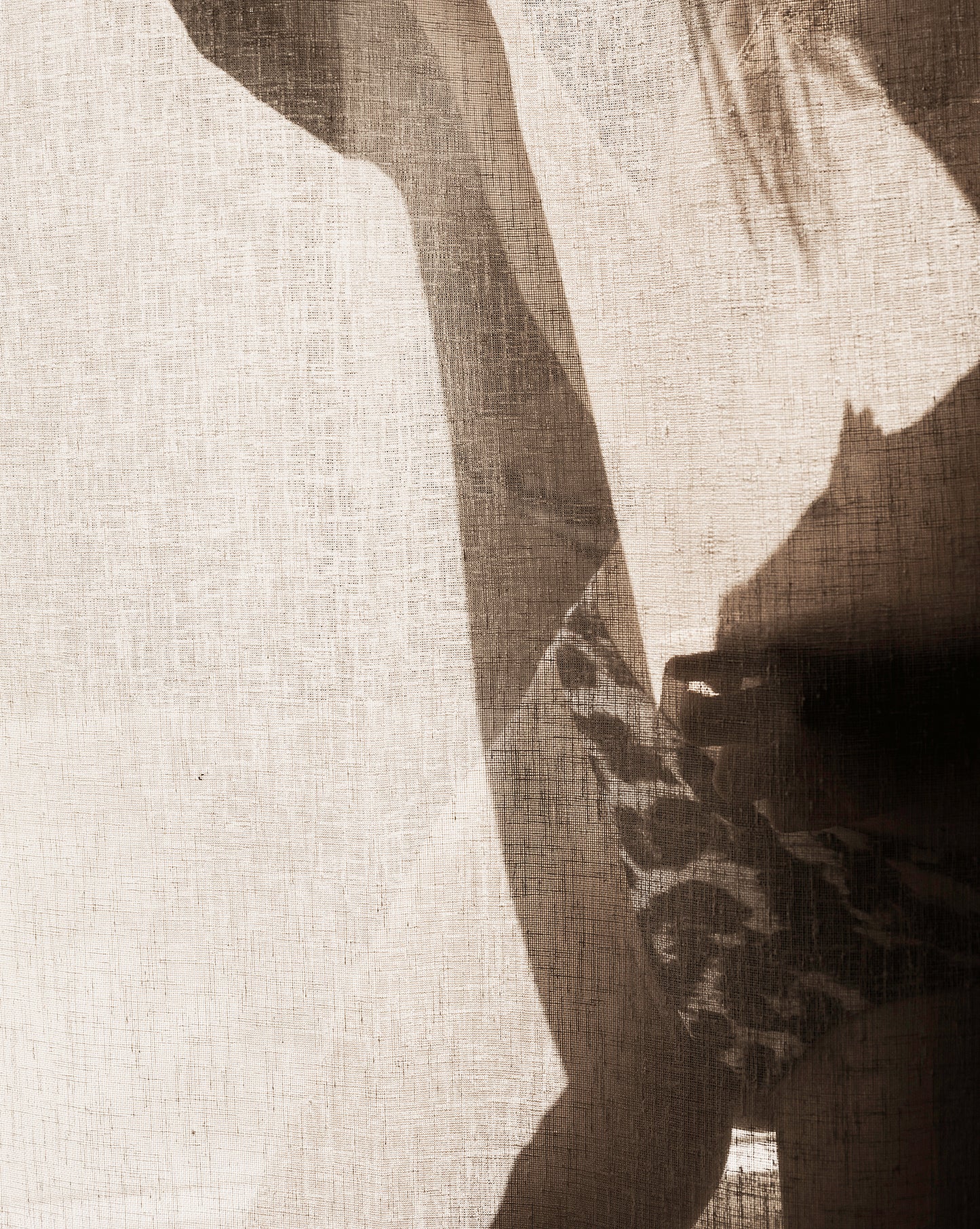 VEILED LIGHT